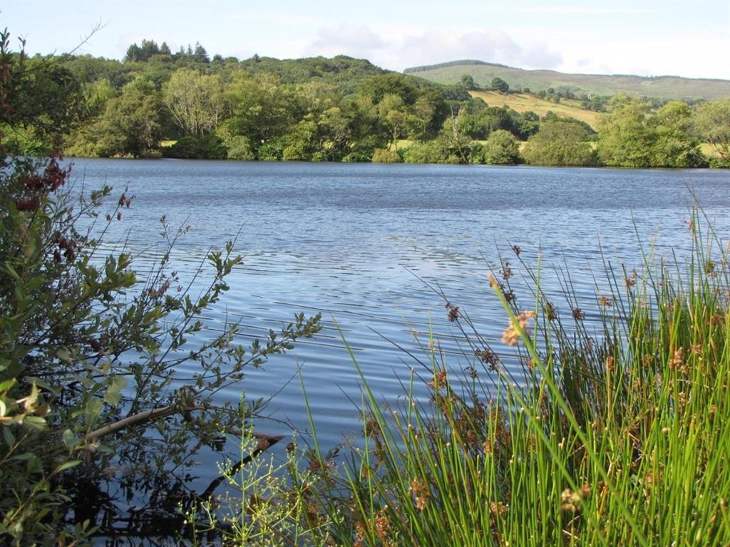 Lake House Dunmanway Eksteriør bilde