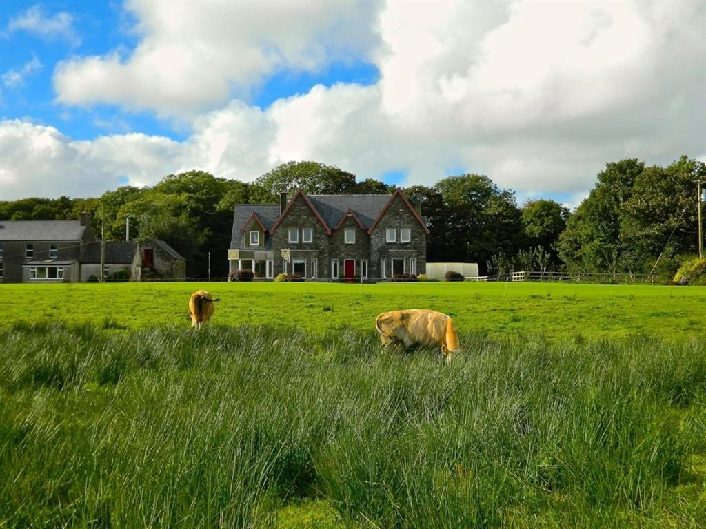 Lake House Dunmanway Eksteriør bilde